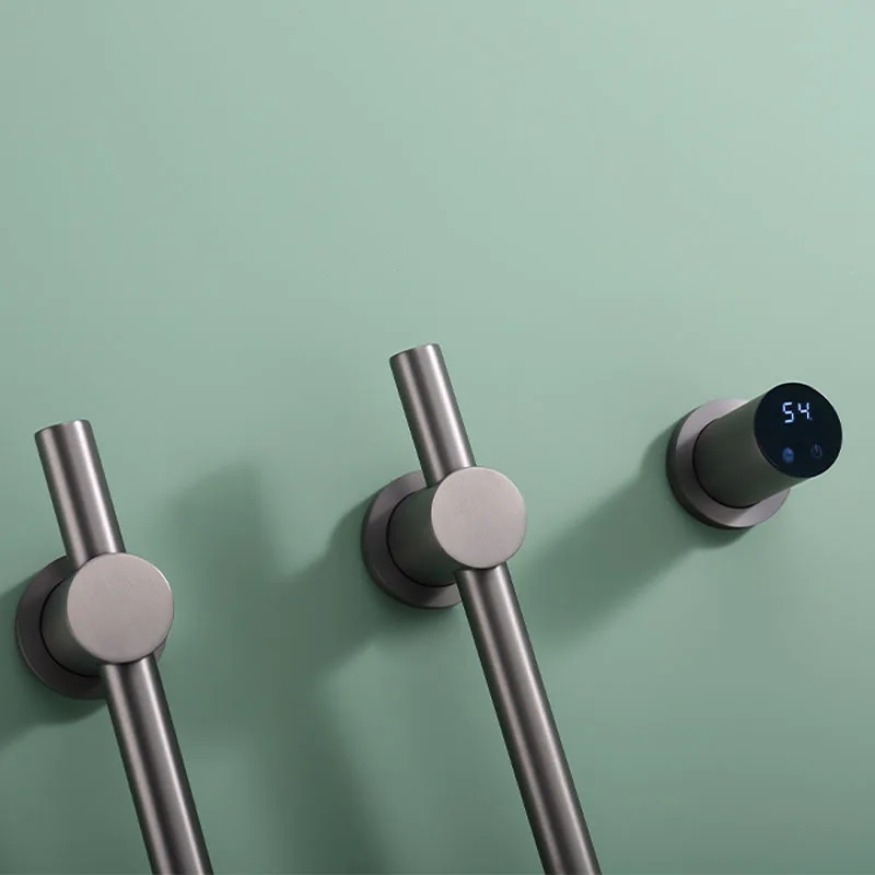 Electric Towel Warmer Constant-Temperature Flush-Mounted Digital Display Smart Drying Stainless Steel Bath Towel Rack
Electric Towel Warmer Constant-Temperature Flush-Mounted Digital Display Smart Drying Stainless Steel Bath Towel Rack