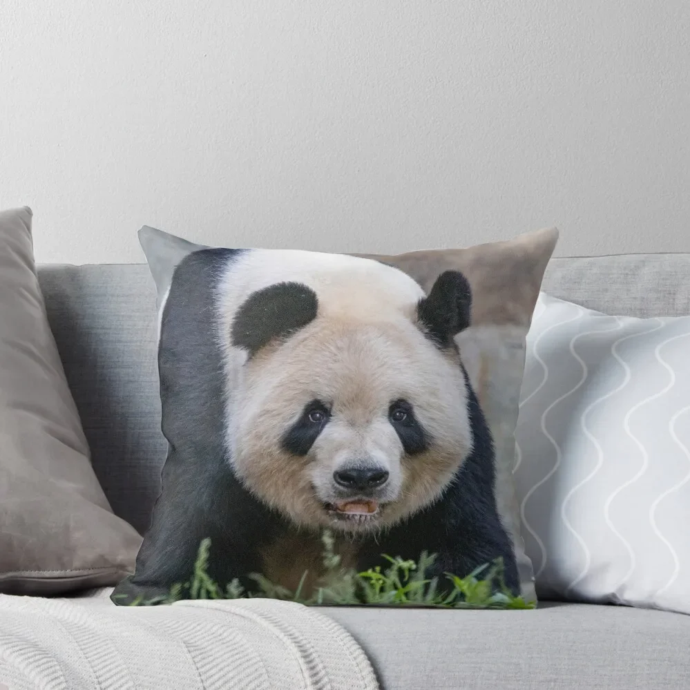 Giant Panda Tian Tian at the National Zoo Throw Pillow Cushions For Decorative Sofa Christmas Cushion For Home pillow
Giant Panda Tian Tian at the National Zoo Throw Pillow Cushions For Decorative Sofa Christmas Cushion For Home pillow