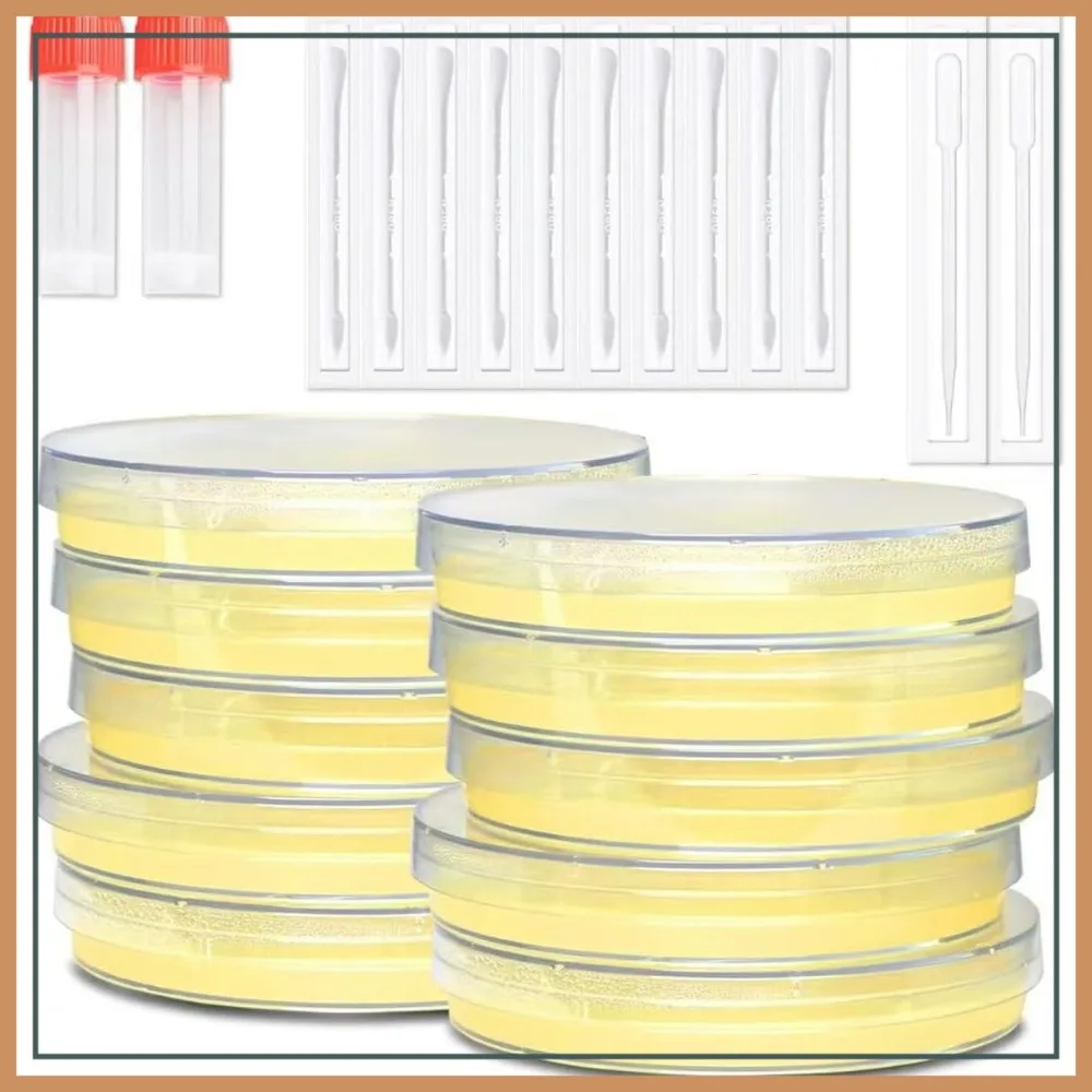 30 Pre-Poured Agar Plates with Swabs for Science Experiments, Bacteria Science Kit - Individually Sealed
30 Pre-Poured Agar Plates with Swabs for Science Experiments, Bacteria Science Kit - Individually Sealed