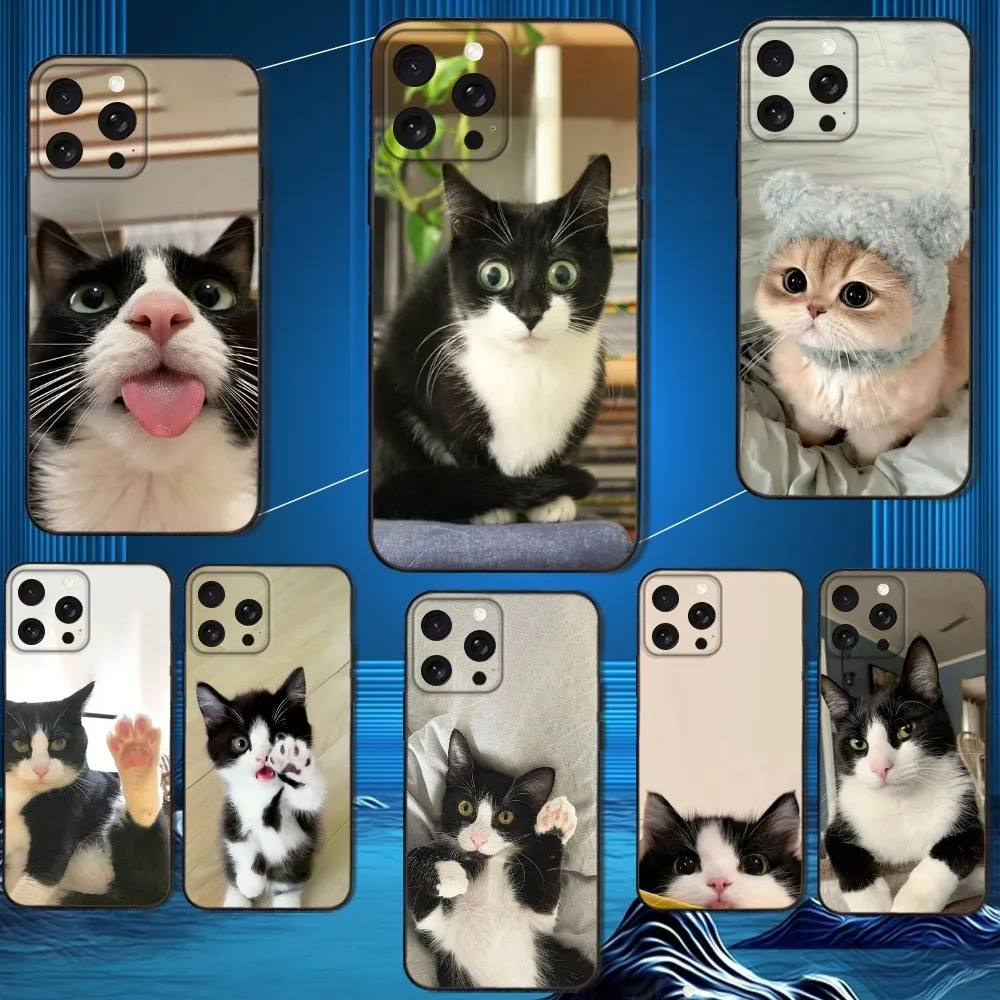 Cute Black and White Cat Phone Case For iPhone 16,15,14,13,12,11 Plus,Pro Max,XS,X,XR,SE,Mini,8,7,Soft Silicone Black Cover
Cute Black and White Cat Phone Case For iPhone 16,15,14,13,12,11 Plus,Pro Max,XS,X,XR,SE,Mini,8,7,Soft Silicone Black Cover