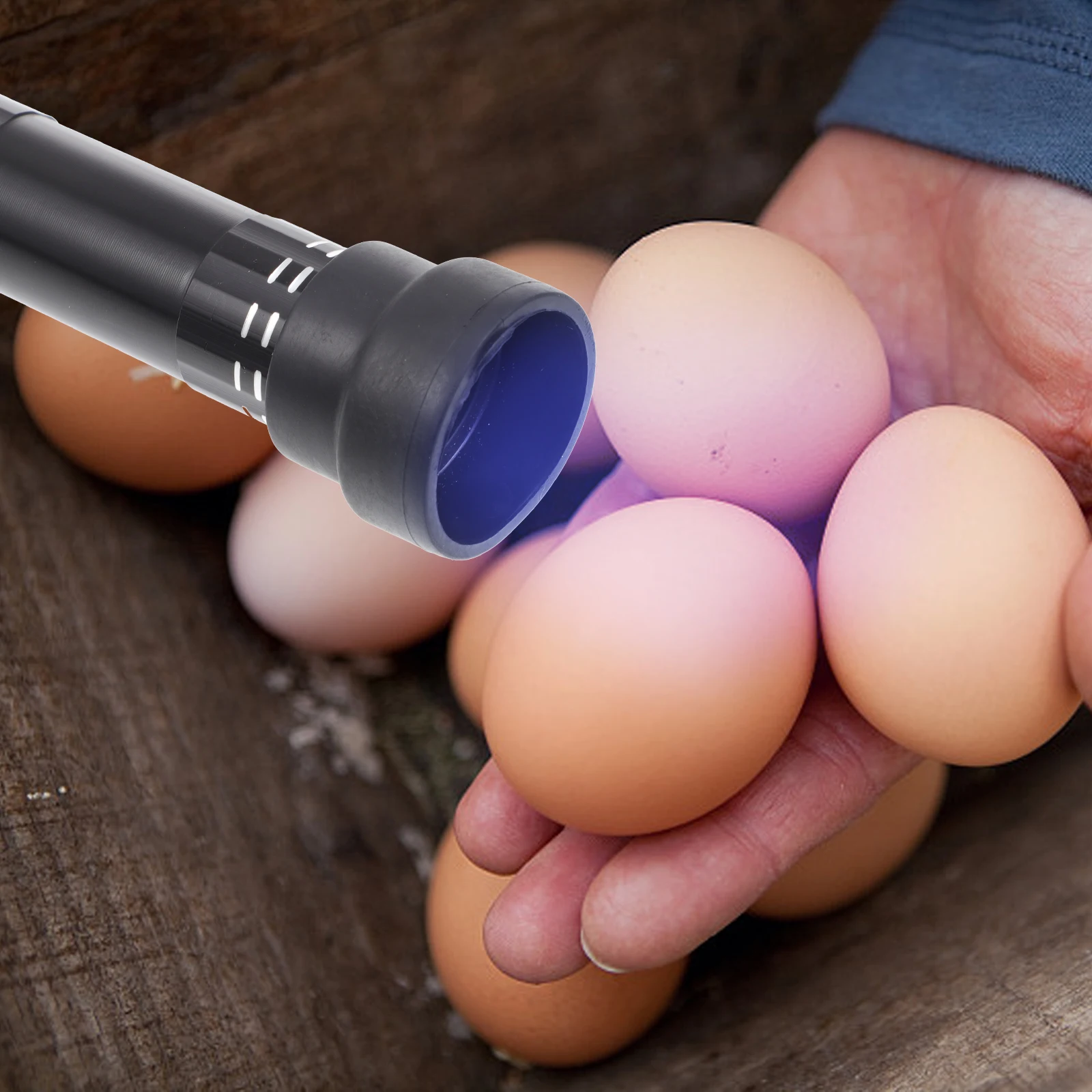 Led Egg Fashion Lamp Small Flashlight Poultry Tester Incubation Equipment Stick Holder Egg Set
Led Egg Fashion Lamp Small Flashlight Poultry Tester Incubation Equipment Stick Holder Egg Set