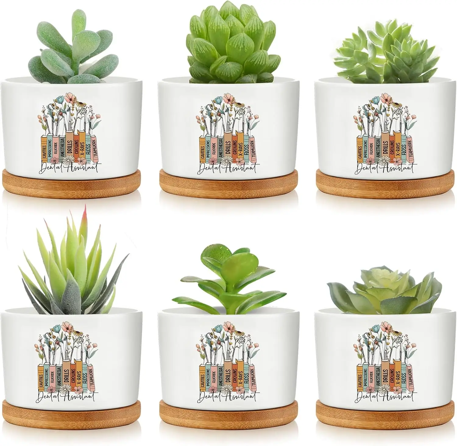6 Pcs Dental Assistant Gift Ceramic Succulent Planter Pots Mini Porcelain Plant Containers Funny Gifts for Dentist Denta
6 Pcs Dental Assistant Gift Ceramic Succulent Planter Pots Mini Porcelain Plant Containers Funny Gifts for Dentist Denta