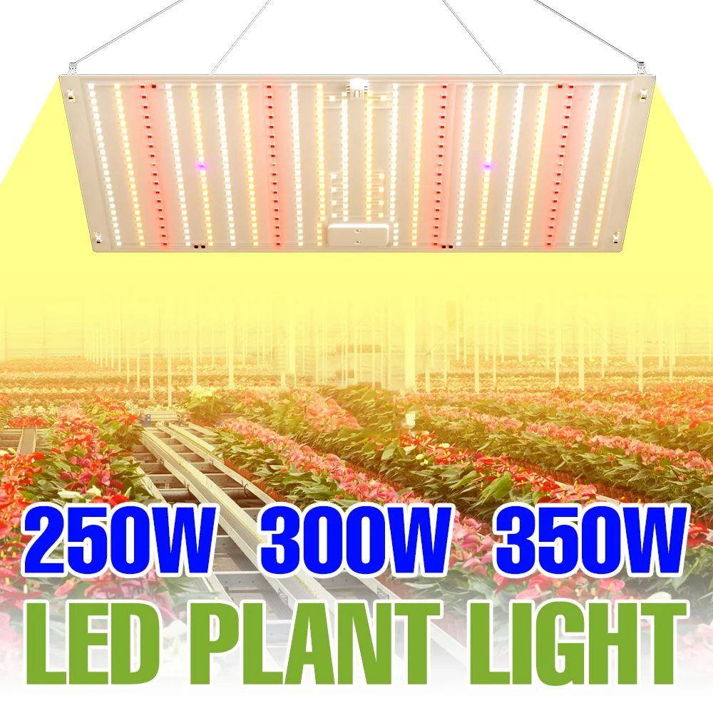 350W LED Full Spectrum Plant Grow Light Quantum Board Cultivation Lamp Indoor Flower Greenhouse Vegetable Fill Lighting 100-277V
350W LED Full Spectrum Plant Grow Light Quantum Board Cultivation Lamp Indoor Flower Greenhouse Vegetable Fill Lighting 100-277V