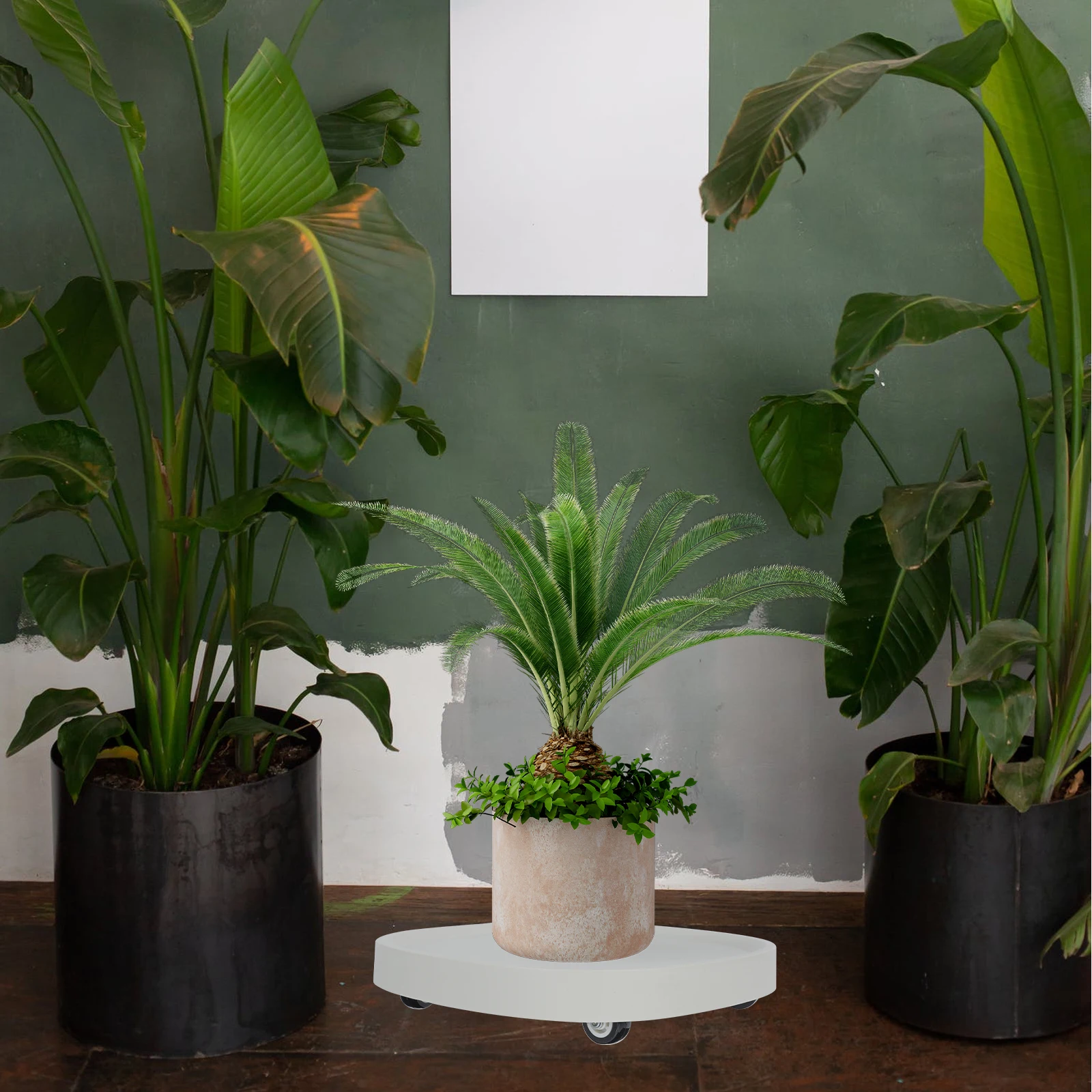 Movable Plant Pot Tray Universal Wheels Durable Vase Shelf for Large Flowerpots Indoor Plants Easy Clean Garden Accessories
Movable Plant Pot Tray Universal Wheels Durable Vase Shelf for Large Flowerpots Indoor Plants Easy Clean Garden Accessories
