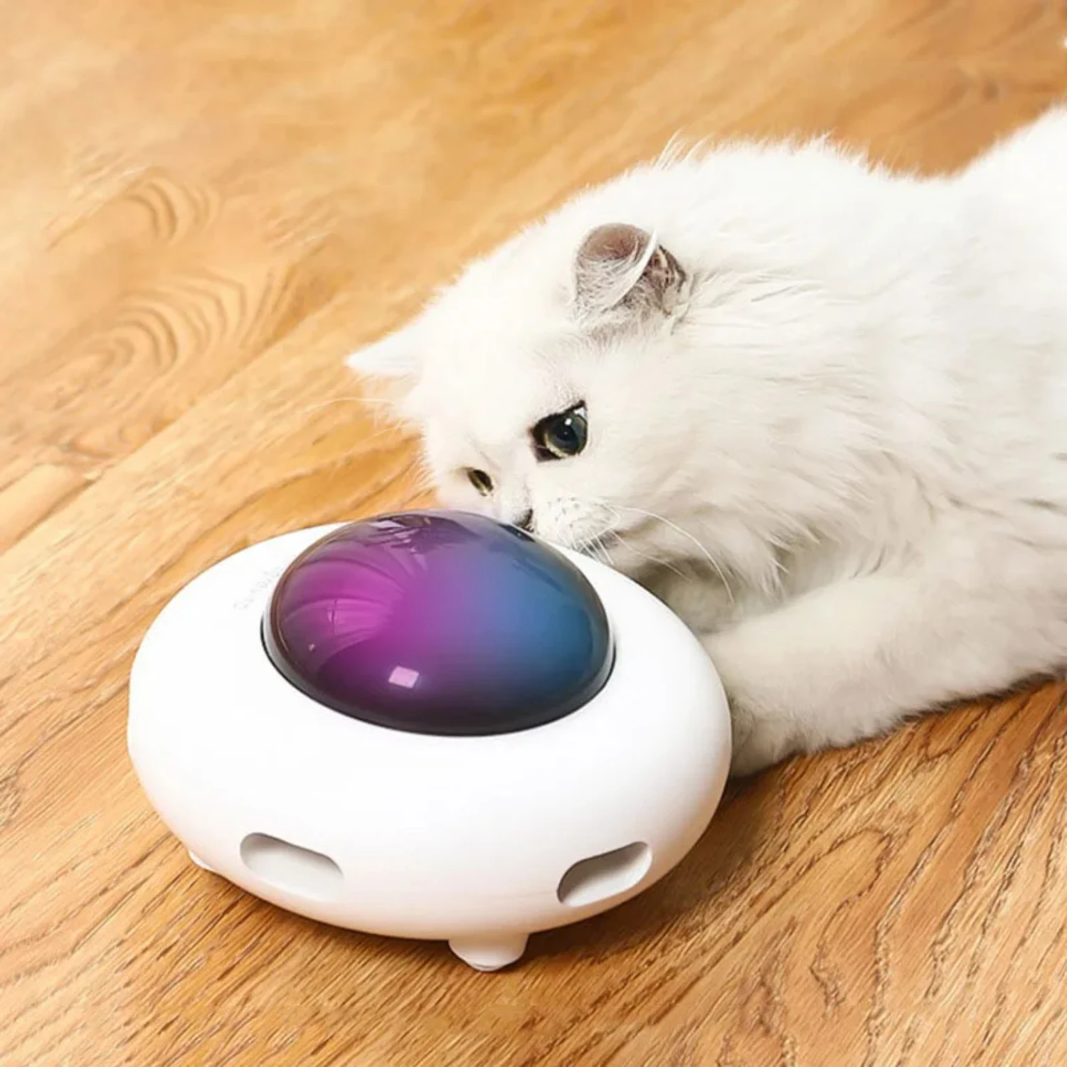 Intelligent Cat Toy: Interactive Smart UFO Teaser Turntable with Rotating Feather, Self-Hi Automatic Catching Training Toy for P
Intelligent Cat Toy: Interactive Smart UFO Teaser Turntable with Rotating Feather, Self-Hi Automatic Catching Training Toy for P