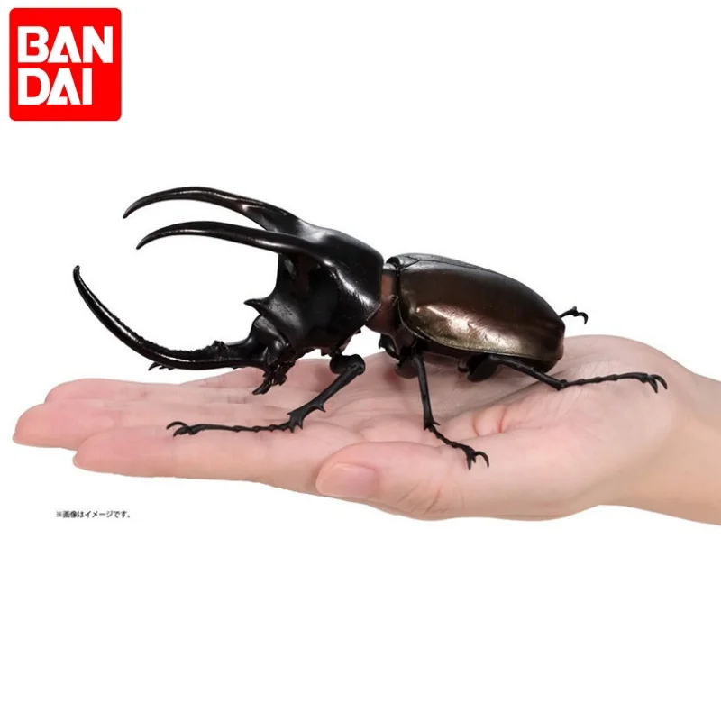 Bandai Gashapon Realistic Beetle Insect Model Chalcosoma Atlas Whiteback Collectible Ornament Home Desktop Display Decor
Bandai Gashapon Realistic Beetle Insect Model Chalcosoma Atlas Whiteback Collectible Ornament Home Desktop Display Decor