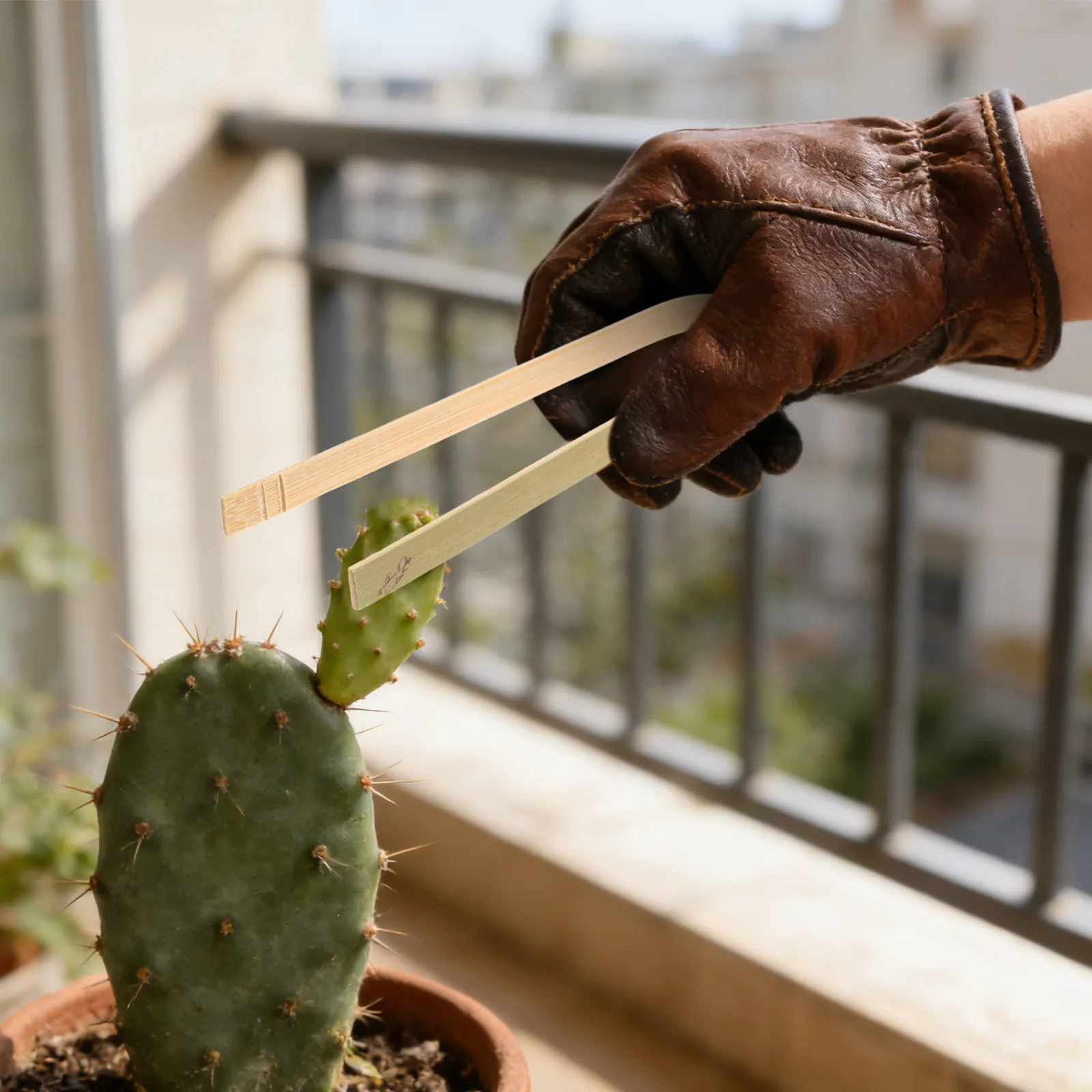 20Pcs Garden Tweezers for Cactus Succulent Transplanting Tools Portable Non-Slip Clamps Plant Holder Indoor Gardening Supplies
20Pcs Garden Tweezers for Cactus Succulent Transplanting Tools Portable Non-Slip Clamps Plant Holder Indoor Gardening Supplies
