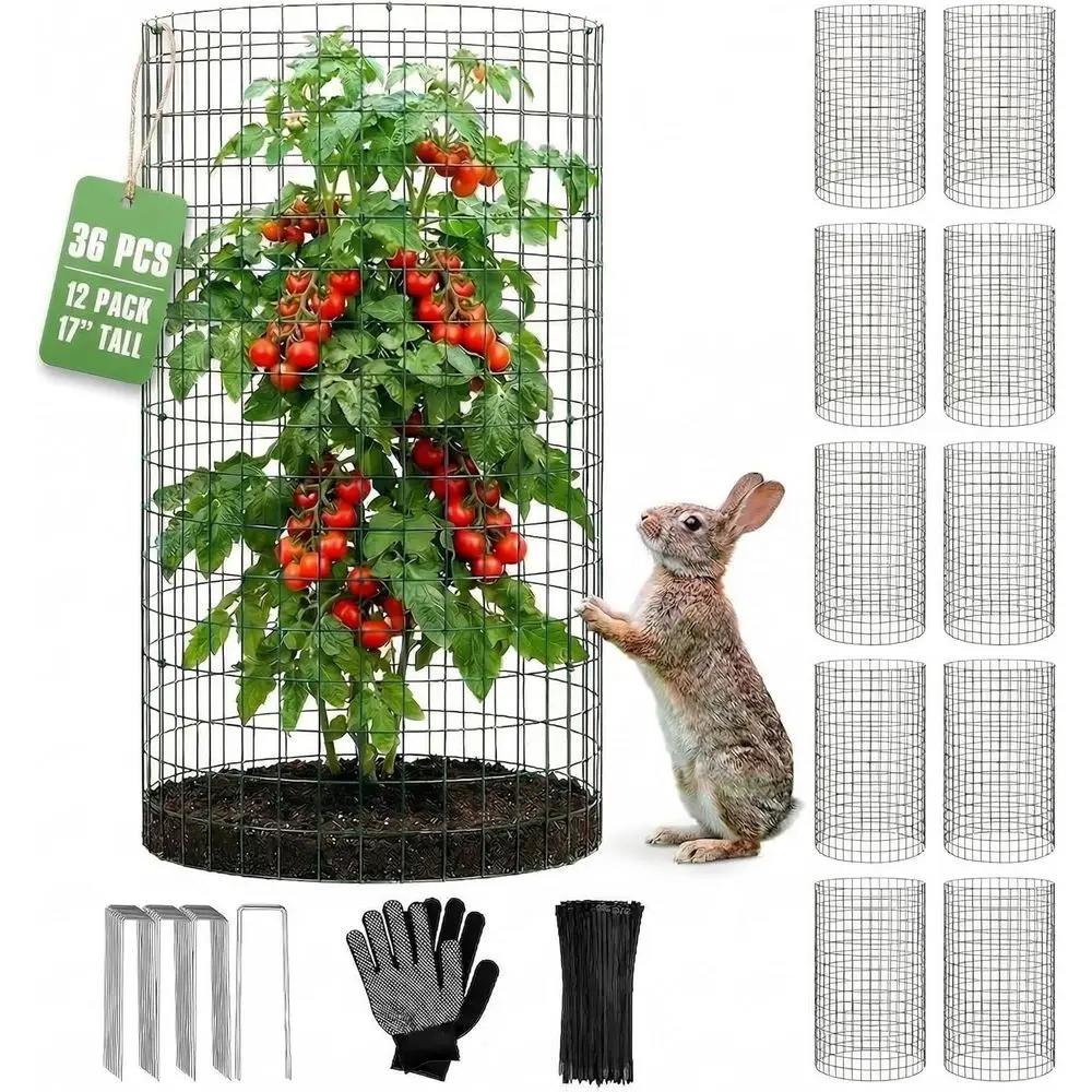 12 Pack 17" x 12" Tall Round Plant Cage - 36PCS Plant Support Cage Metal Wire Mesh Plant Protector or Outdoor Gardening Supplies
12 Pack 17" x 12" Tall Round Plant Cage - 36PCS Plant Support Cage Metal Wire Mesh Plant Protector or Outdoor Gardening Supplies