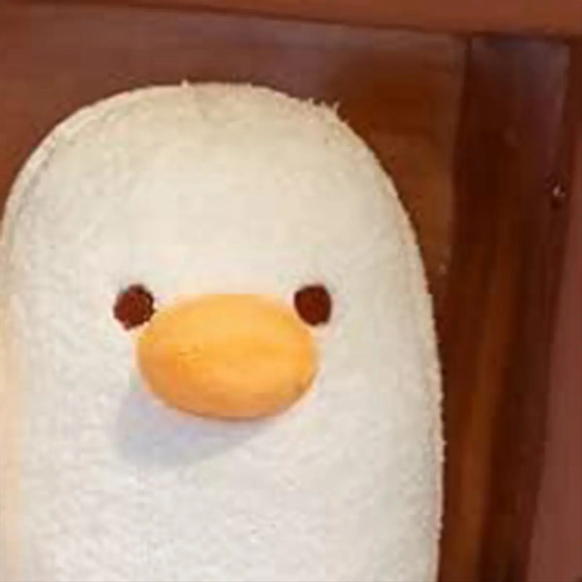 A72P Banana Duck Plush Toy Cute Plushie Hugging Plush Pillow Duck Stuffed Animal for Girls and Boys
A72P Banana Duck Plush Toy Cute Plushie Hugging Plush Pillow Duck Stuffed Animal for Girls and Boys