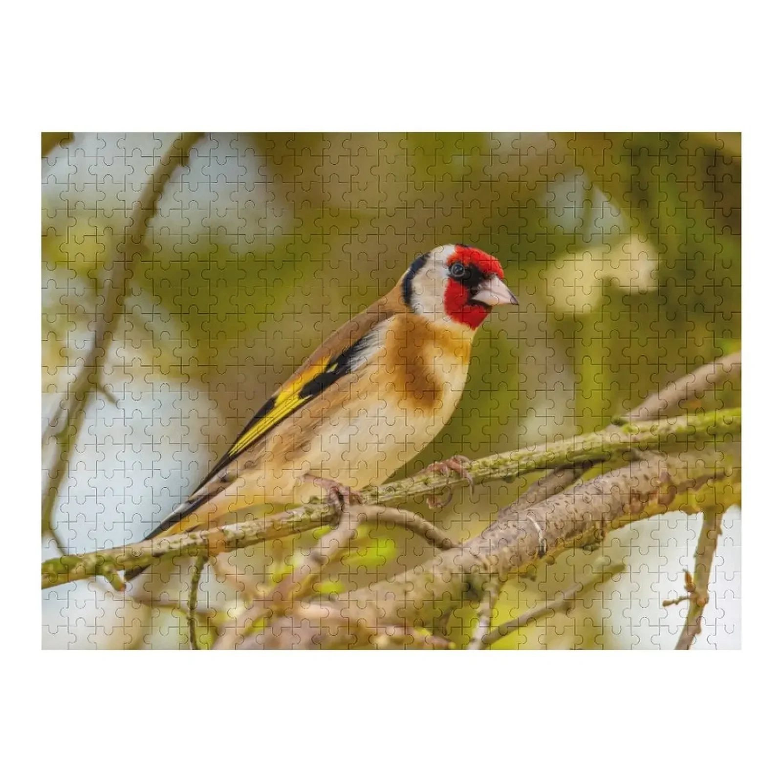 Головоломка GoldFinch деревянная древесина с именем под заказ для взрослых индивидуальные подарочные идеи головоломка
Головоломка GoldFinch деревянная древесина с именем под заказ для взрослых индивидуальные подарочные идеи головоломка