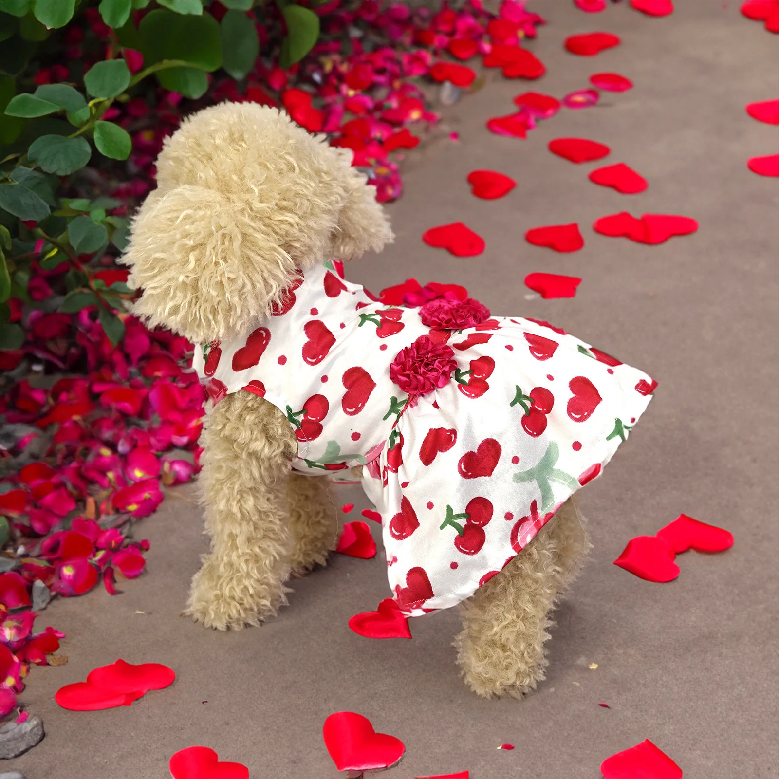 Valentine'S Day Limited Rose Pet Dress Cat Dog Anti-Shedding Breathable Wedding Dress Teddy Boomerang Little Flower Girl Focus
Valentine'S Day Limited Rose Pet Dress Cat Dog Anti-Shedding Breathable Wedding Dress Teddy Boomerang Little Flower Girl Focus