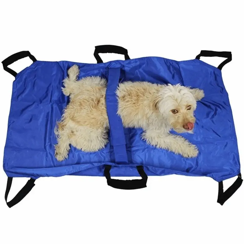 Foldable Dog Stretcher Waterproof Pet Transport Large Load Bearing With 6 Handles Blue
Foldable Dog Stretcher Waterproof Pet Transport Large Load Bearing With 6 Handles Blue