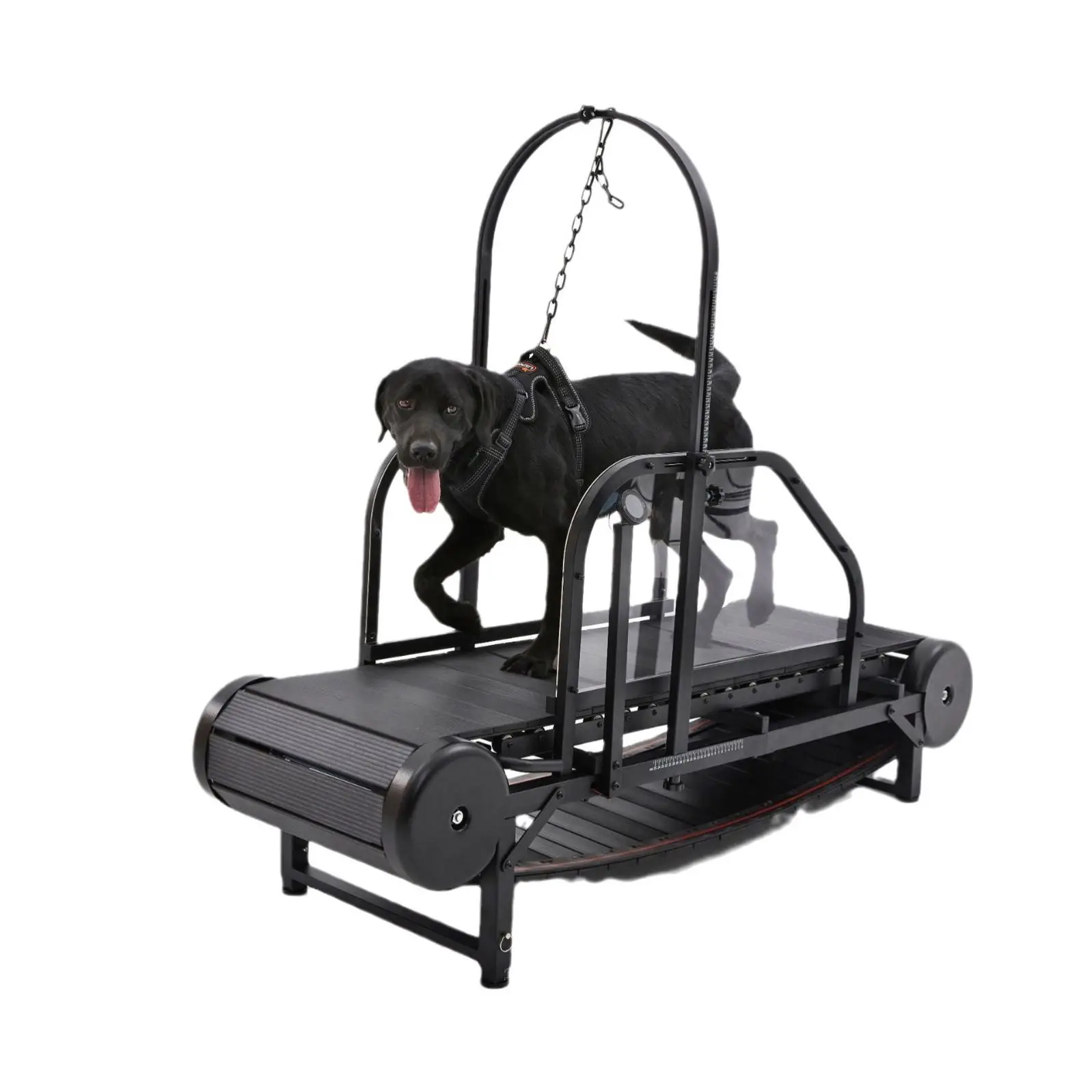 Pet Treadmills Equipment Non-electric Dogs Training Machines Doggy Exercise Sport Walking Slatmill
Pet Treadmills Equipment Non-electric Dogs Training Machines Doggy Exercise Sport Walking Slatmill