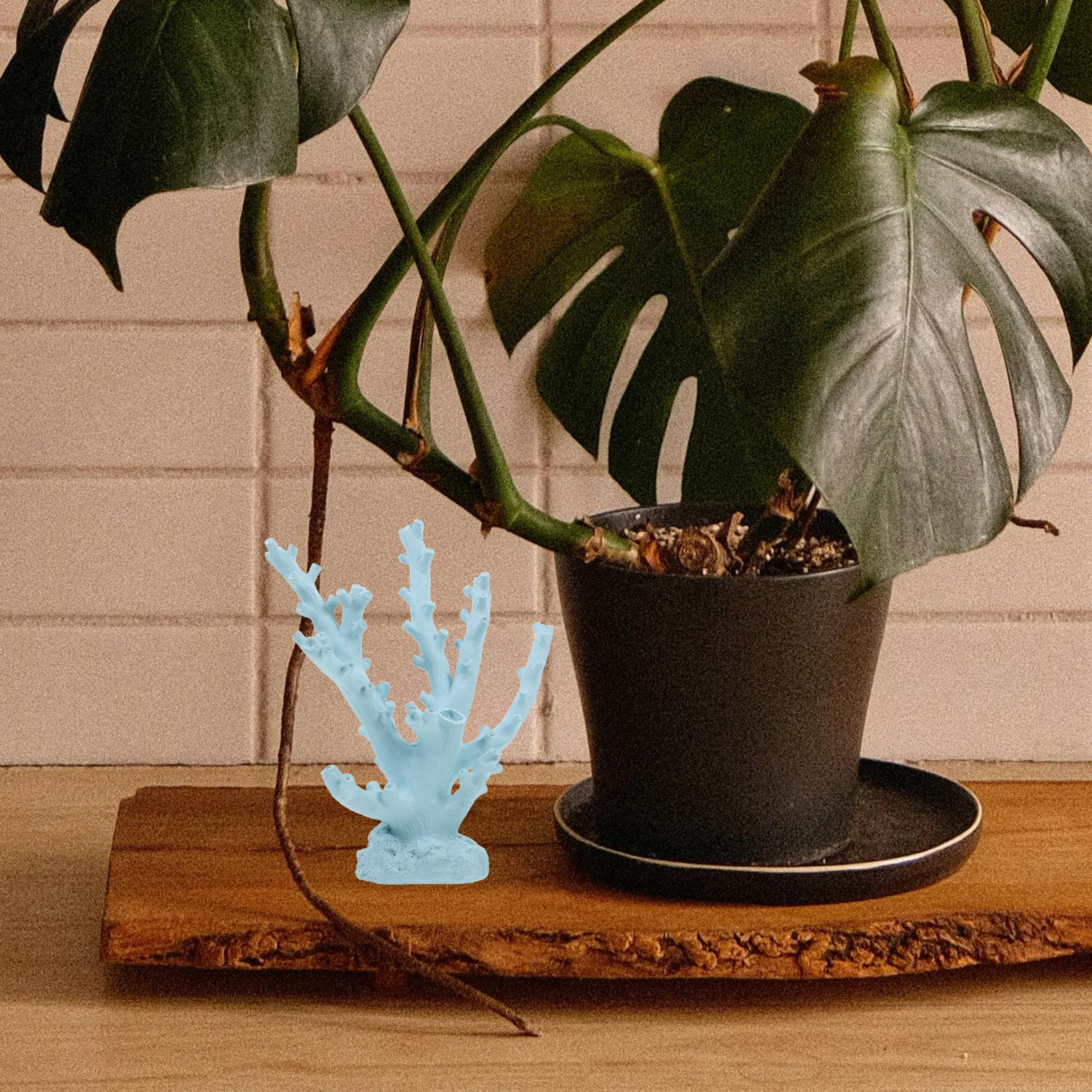 Resin Coral Decor Mediterranean Style Artificial Coral Ornament for Aquarium Fish Tank Landscape Living Room Entryway Decoration
Resin Coral Decor Mediterranean Style Artificial Coral Ornament for Aquarium Fish Tank Landscape Living Room Entryway Decoration