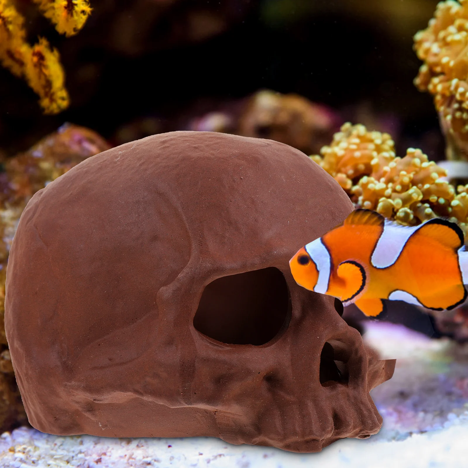 Rocks Shrimp Shelter Hide Cave Fish for Aquarium Hideout Hiding Landscape Decoration Tank Accessory
Rocks Shrimp Shelter Hide Cave Fish for Aquarium Hideout Hiding Landscape Decoration Tank Accessory