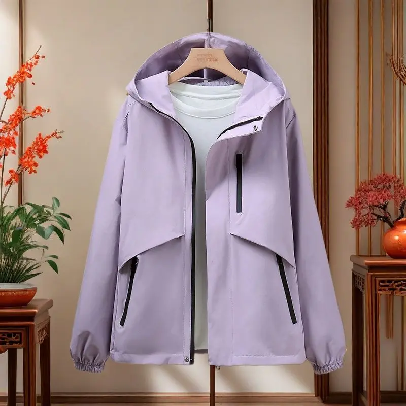 Women's New Spring and Autumn Zipper Pocket Fashionable Workwear 2025 Casual Outdoor Hooded Hiking Suit
Women's New Spring and Autumn Zipper Pocket Fashionable Workwear 2025 Casual Outdoor Hooded Hiking Suit