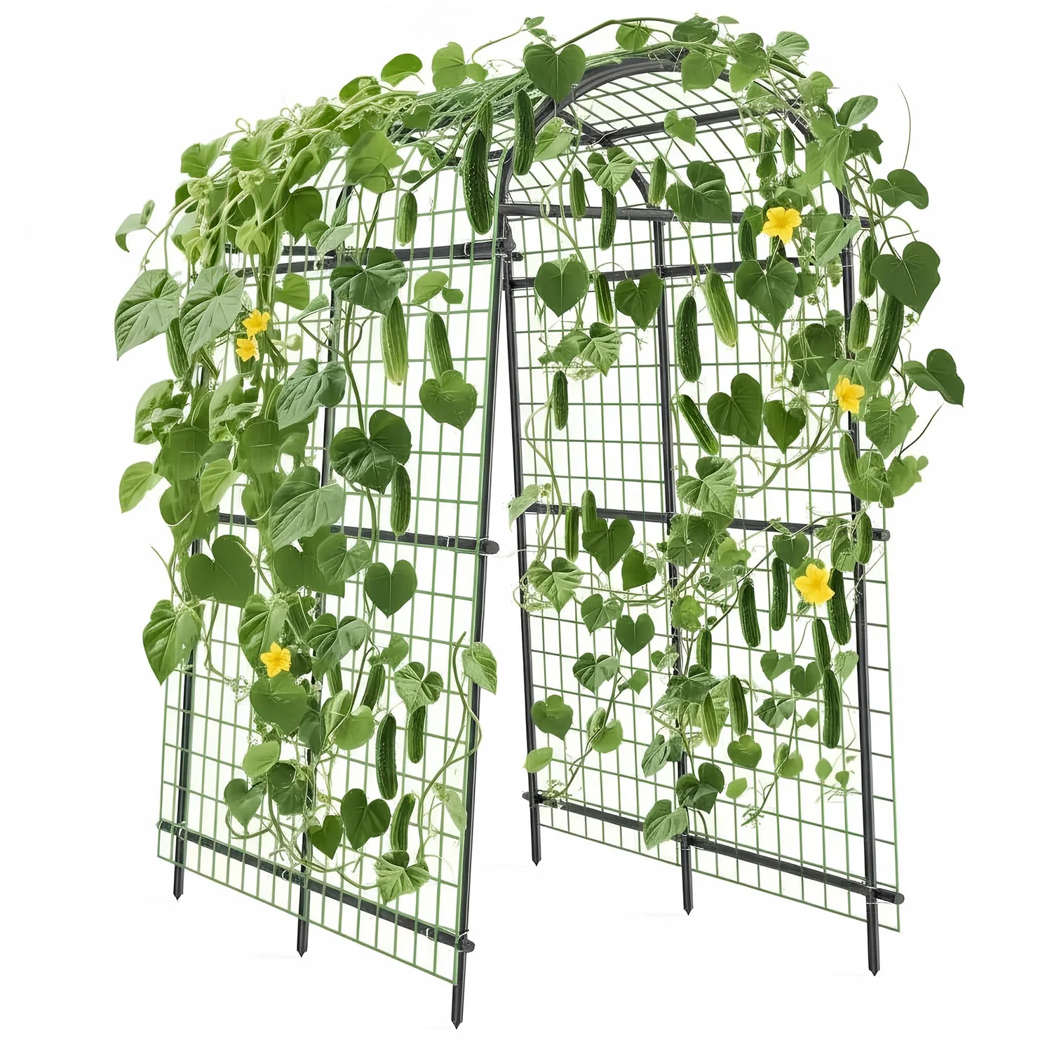 7FT Raised Bed Garden Arch Trellis, Heavy Duty Steel Cucumber Arbor With Bolt Assembly & Deep Stakes For Outdoor Vines & Plants
7FT Raised Bed Garden Arch Trellis, Heavy Duty Steel Cucumber Arbor With Bolt Assembly & Deep Stakes For Outdoor Vines & Plants