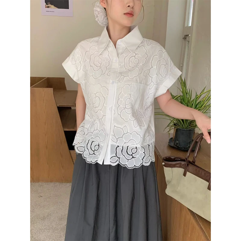 Korean Style Loose Fit Hollow out Embroidered Short Sleeve Shirt Women's Summer New Fashion Slimming Versatile Turn Collar Top
Korean Style Loose Fit Hollow out Embroidered Short Sleeve Shirt Women's Summer New Fashion Slimming Versatile Turn Collar Top