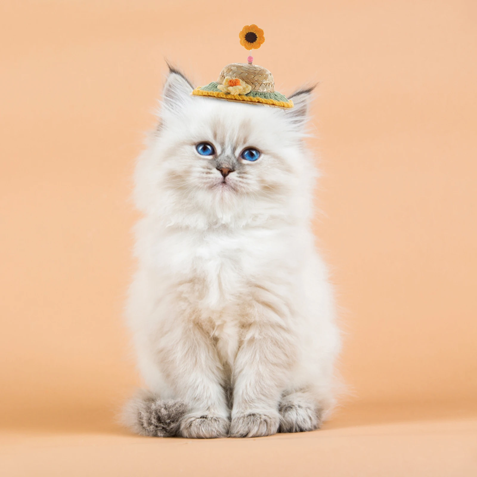 Adjustable Puppy Birthday Party Costume Decoration Durable Headdress Wear-Resistant Puppy Kitten Accessory Small Dog Costume
Adjustable Puppy Birthday Party Costume Decoration Durable Headdress Wear-Resistant Puppy Kitten Accessory Small Dog Costume