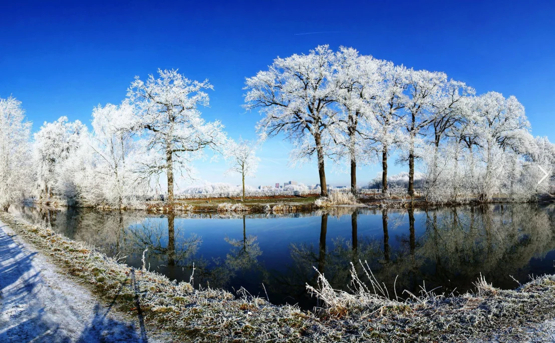 HPXGRC F722 Stack F722 Flight Controller ICM42688P with 80A/100A/120A ESC 3-8S LIPO 30.5x30.5mm for RC FPV Racing Drone Parts
HPXGRC F722 Stack F722 Flight Controller ICM42688P with 80A/100A/120A ESC 3-8S LIPO 30.5x30.5mm for RC FPV Racing Drone Parts