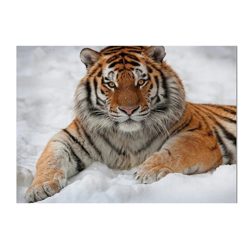 5D Diy Diamond Painting Cross Stitch Tiger Animals Kit Full Square Round Diamond Embroidery Decor Mosaic Needlework Rhinestones
5D Diy Diamond Painting Cross Stitch Tiger Animals Kit Full Square Round Diamond Embroidery Decor Mosaic Needlework Rhinestones