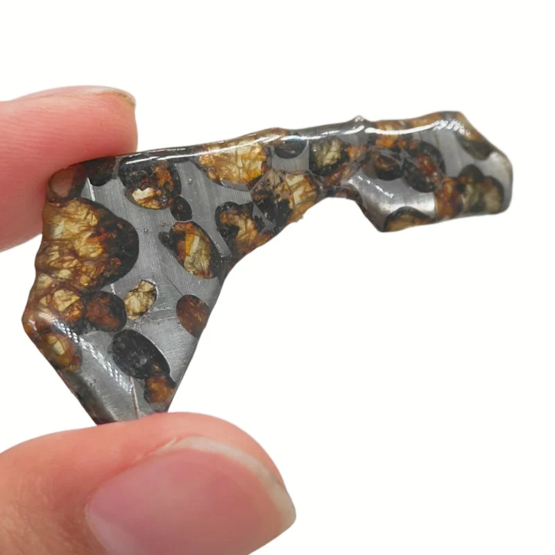 3.8g Quality Brenham Olive Meteorite Slice Natural Meteorite Material Olive Meteorite Specimen Artwork CollectionTA725
3.8g Quality Brenham Olive Meteorite Slice Natural Meteorite Material Olive Meteorite Specimen Artwork CollectionTA725