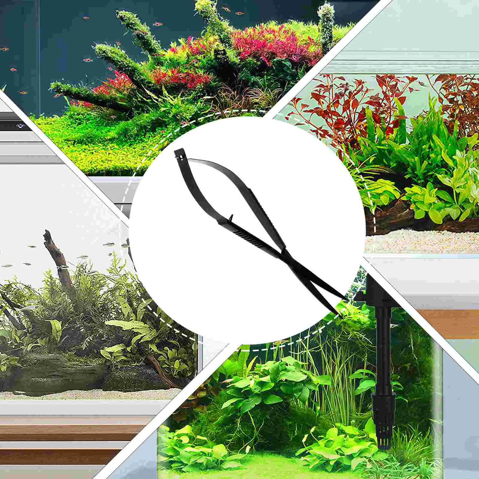 Stainless Steel Aquarium Scissor Professional Water Plant Trimmer for Small Thin Plants Fish Tank Portable
Stainless Steel Aquarium Scissor Professional Water Plant Trimmer for Small Thin Plants Fish Tank Portable