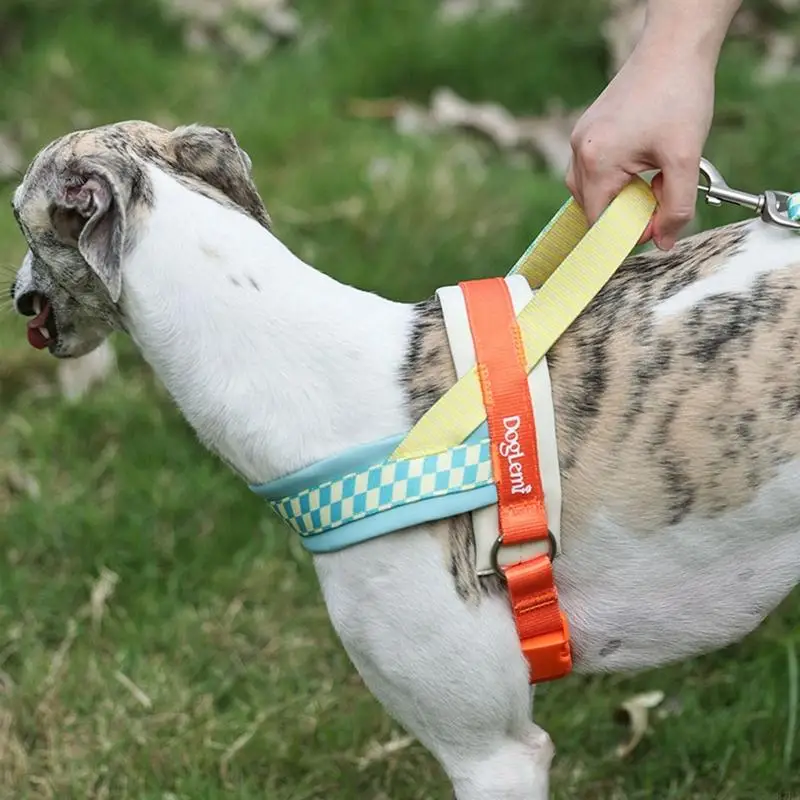 Dog Harness Vest with Handle Adjustable Training Vest Pet Strong Training Walking Hiking Padded Belt 87HA
Dog Harness Vest with Handle Adjustable Training Vest Pet Strong Training Walking Hiking Padded Belt 87HA