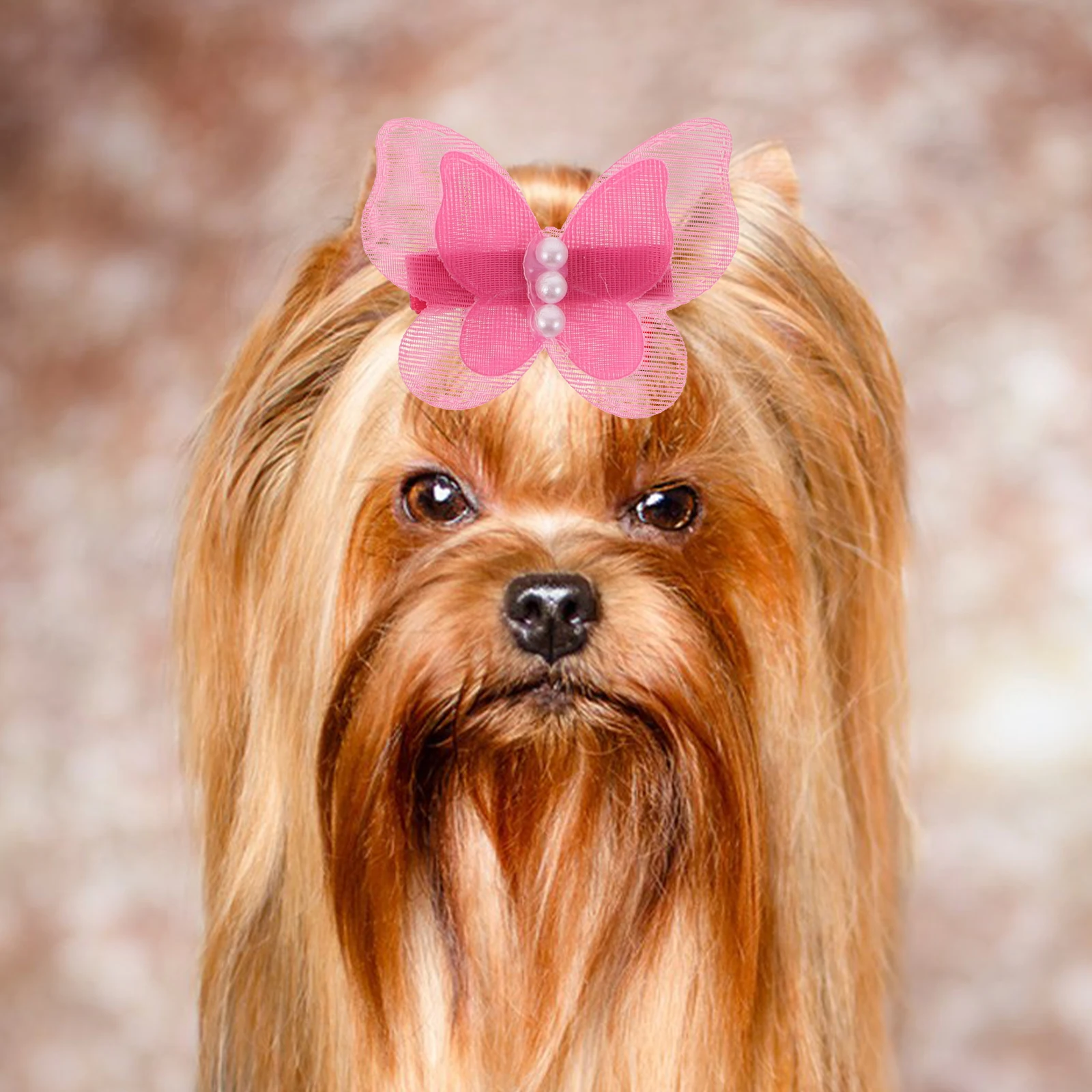 24 Pcs Pet Hair Accessories Cat Clips for Girls Butterfly Mini Dog Pin Metal Animal
24 Pcs Pet Hair Accessories Cat Clips for Girls Butterfly Mini Dog Pin Metal Animal