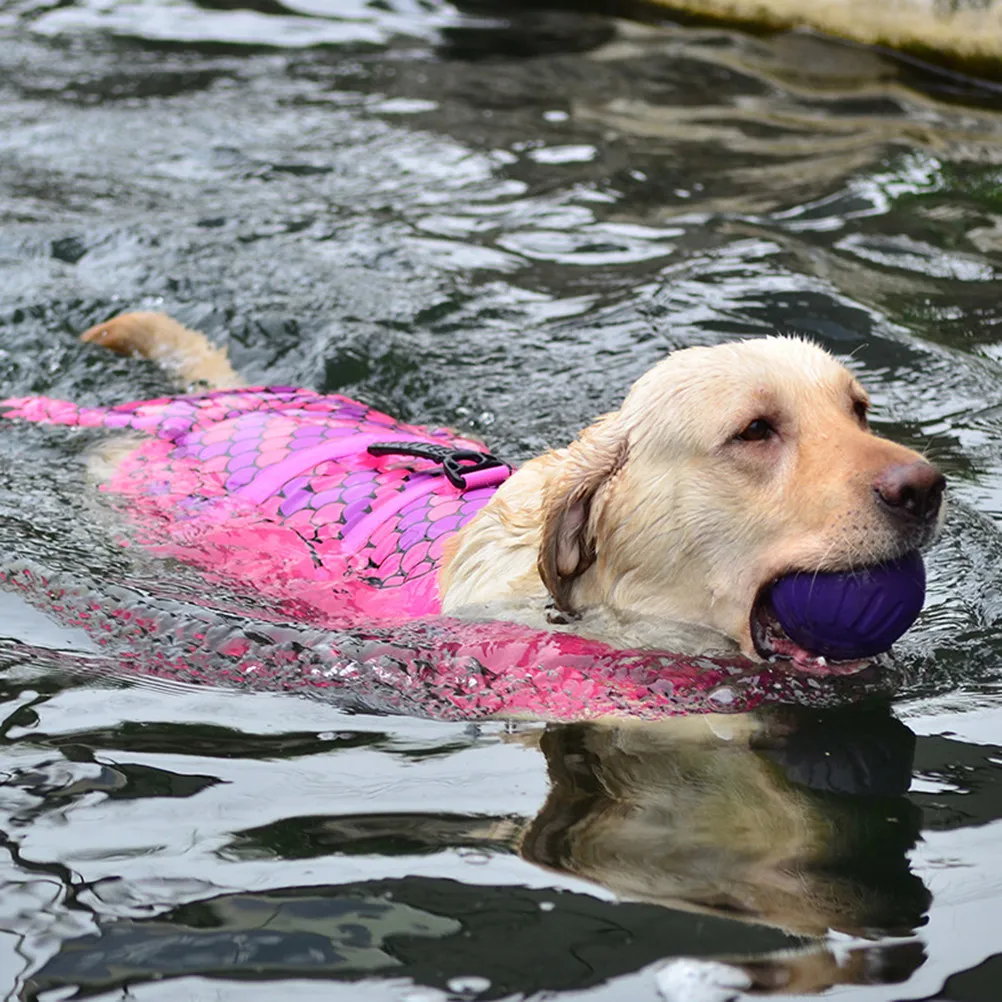 Jacket Fish Shape Design with Quick Release Buckles Grab Handles for Easy Carry Buoyancy Safety for Small Dogs Puppies
Jacket Fish Shape Design with Quick Release Buckles Grab Handles for Easy Carry Buoyancy Safety for Small Dogs Puppies