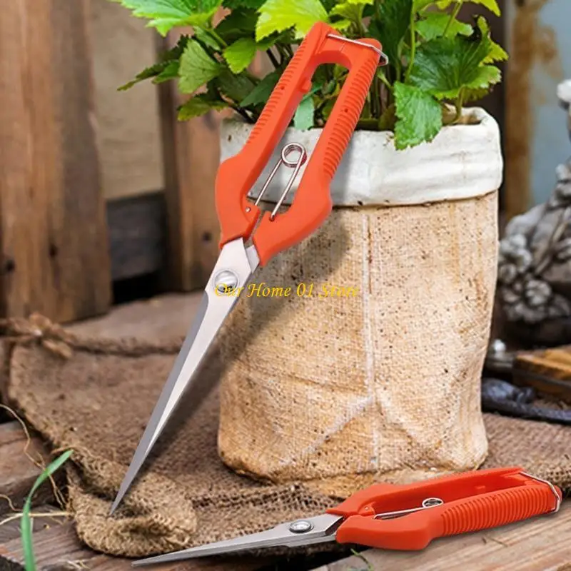 M4YC Miniature Tip Garden Shears Fruit Scissors For Precise Trimming Flowers Bonsais
M4YC Miniature Tip Garden Shears Fruit Scissors For Precise Trimming Flowers Bonsais
