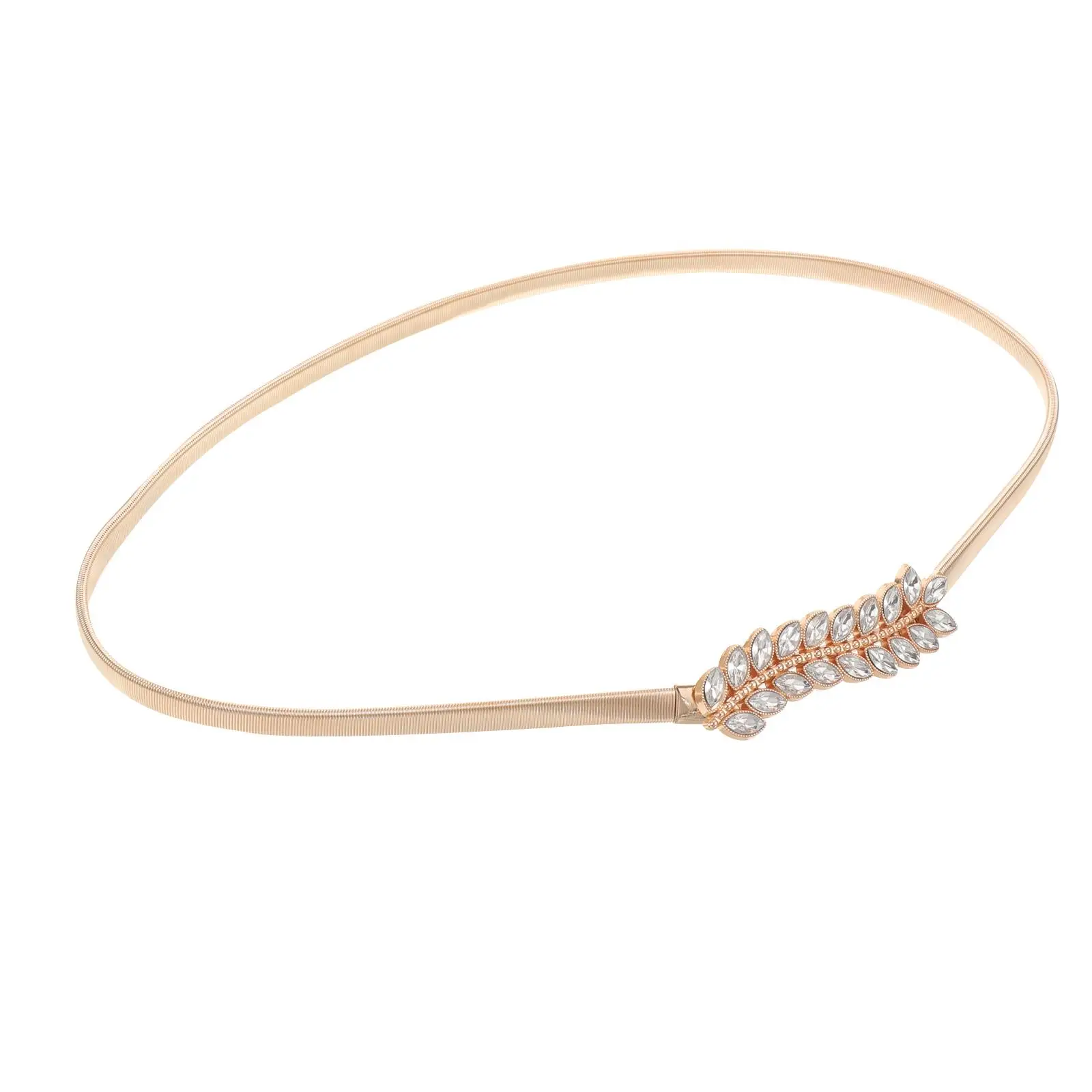 Rhinestone Decorative Metal Dress Waist Dress Belts For Women Adjustable Stretch Women Clothes Belt Skirt Belt
Rhinestone Decorative Metal Dress Waist Dress Belts For Women Adjustable Stretch Women Clothes Belt Skirt Belt