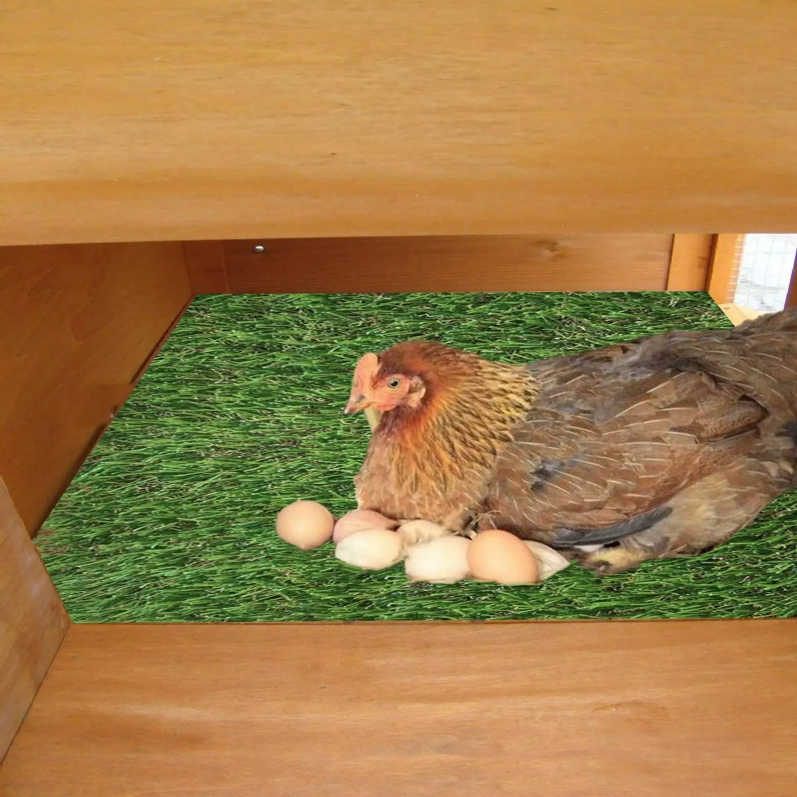 Chicken Enclosure Grass Mat Quick-Drying Artificial Grass Enclosure Mat Easy to Clean Nesting Box Liner Good Drainage
Chicken Enclosure Grass Mat Quick-Drying Artificial Grass Enclosure Mat Easy to Clean Nesting Box Liner Good Drainage