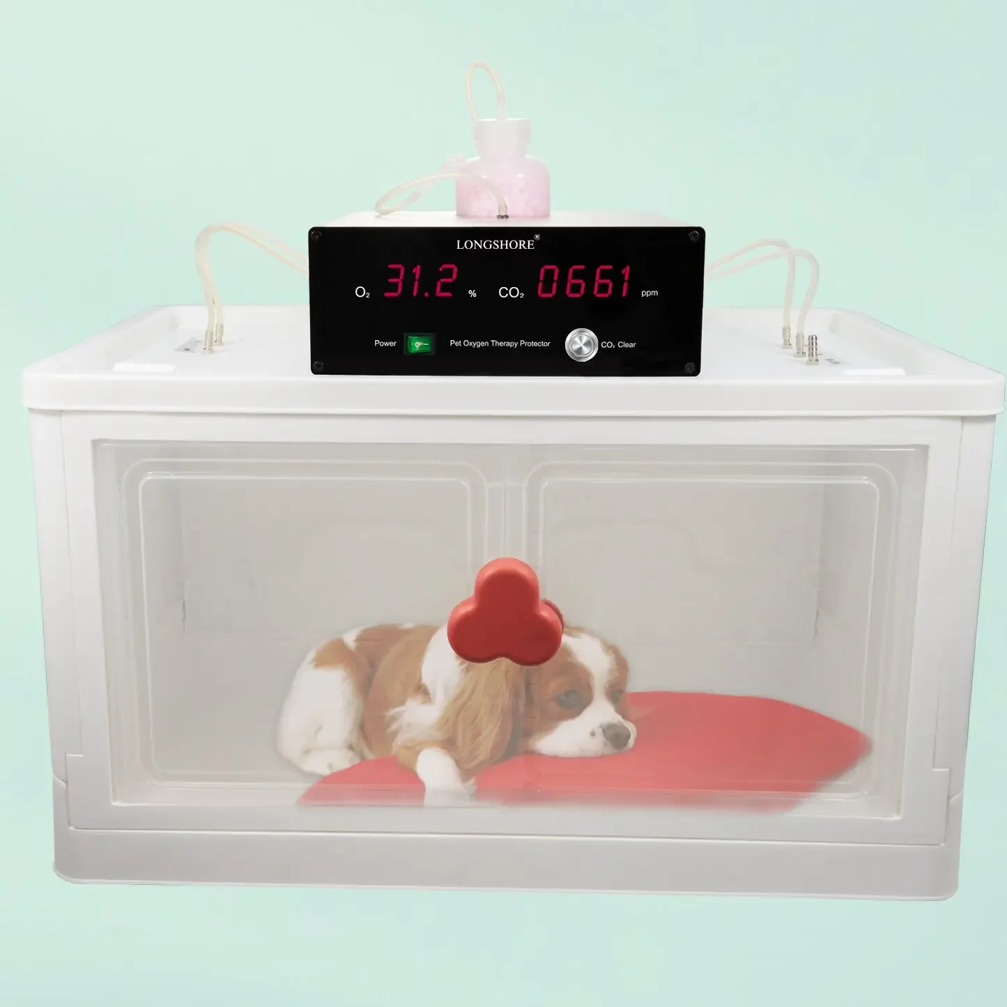 Pet oxygen therepay Protector pet accessories automatic for pet health care cat puppy vet clinic or home use
Pet oxygen therepay Protector pet accessories automatic for pet health care cat puppy vet clinic or home use