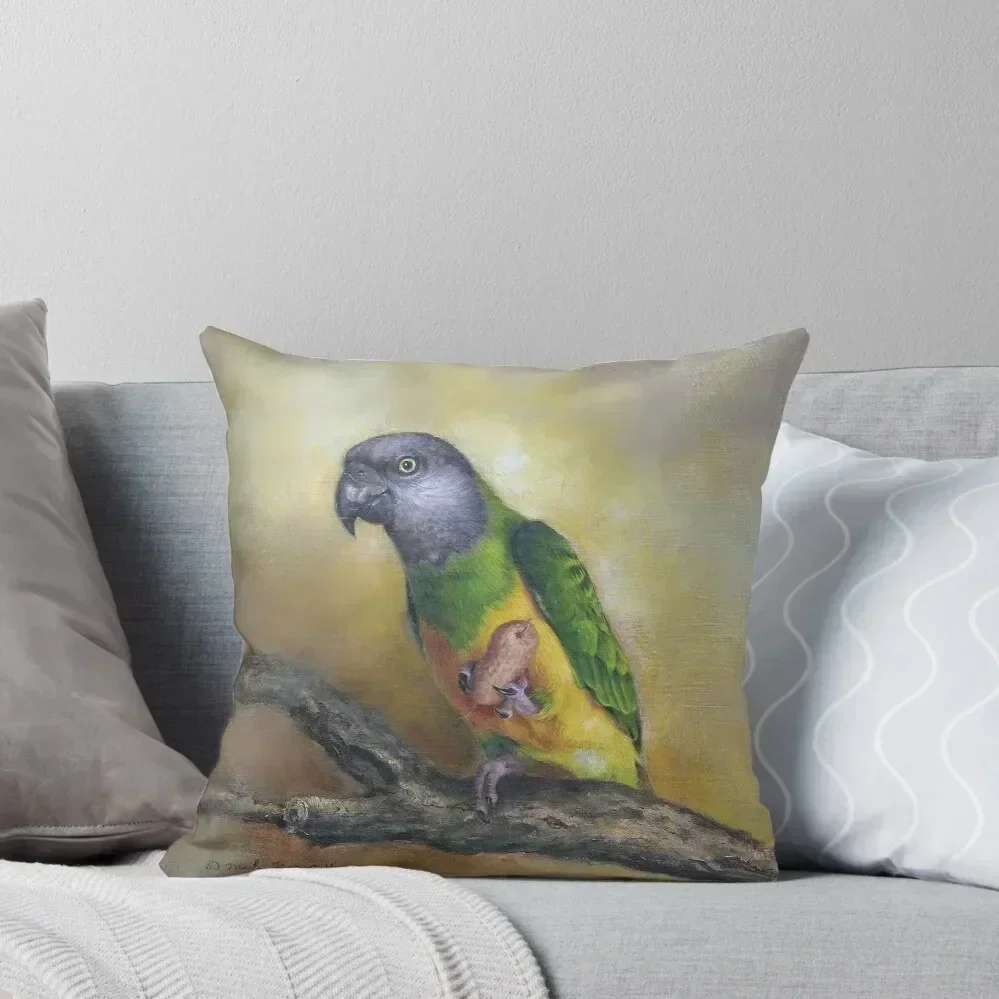 Senegal Parrot Throw Pillow Decorative Pillow Covers For Sofa Embroidered Cushion Cover pillow
Senegal Parrot Throw Pillow Decorative Pillow Covers For Sofa Embroidered Cushion Cover pillow