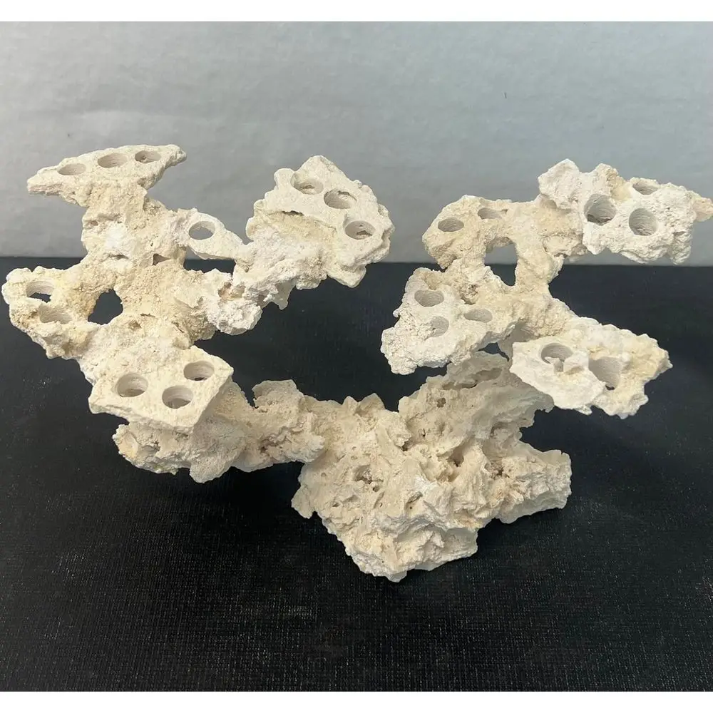 Coral Plug Holder, Natural Rock rag Coral Growth (Natural White, Medium)
Coral Plug Holder, Natural Rock rag Coral Growth (Natural White, Medium)