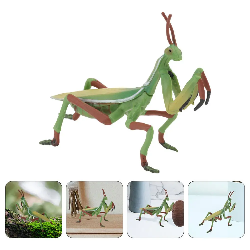1Pcs Plastic Mantis Insect Simulation Home Office Decoration Kids Plaything Realistic Educational Static Insect Ornament
1Pcs Plastic Mantis Insect Simulation Home Office Decoration Kids Plaything Realistic Educational Static Insect Ornament