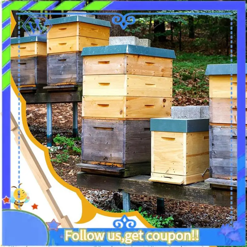Easy To Use Beehive Entrance Reducer,6 Pack Wooden Hive Entrance Reducer 10 Frame Beehive Supplies With 2 Size Openings Control
Easy To Use Beehive Entrance Reducer,6 Pack Wooden Hive Entrance Reducer 10 Frame Beehive Supplies With 2 Size Openings Control