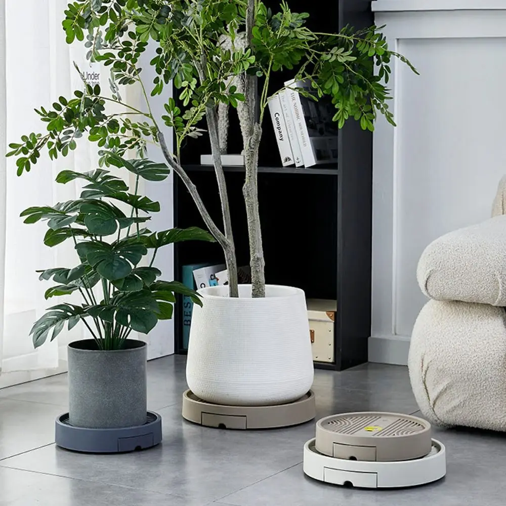 Round Flower Pot Mobile Tray Non-Slip Stable Movable Plant Stand Heavy Duty with Drainage Tray Universal Wheel Mobile Base
Round Flower Pot Mobile Tray Non-Slip Stable Movable Plant Stand Heavy Duty with Drainage Tray Universal Wheel Mobile Base