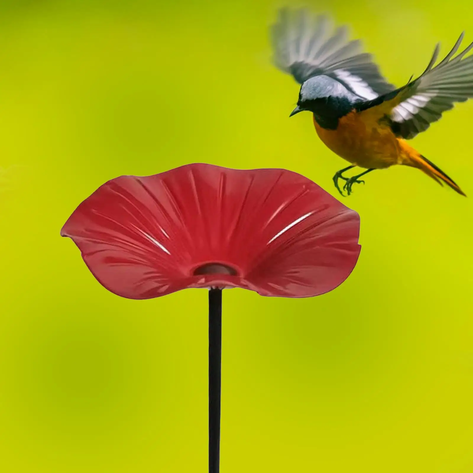 Creative Bird Feeder Ground Stake Birdbath Bowl Metal Garden Decoration for Birds Outdoor Feeding
Creative Bird Feeder Ground Stake Birdbath Bowl Metal Garden Decoration for Birds Outdoor Feeding