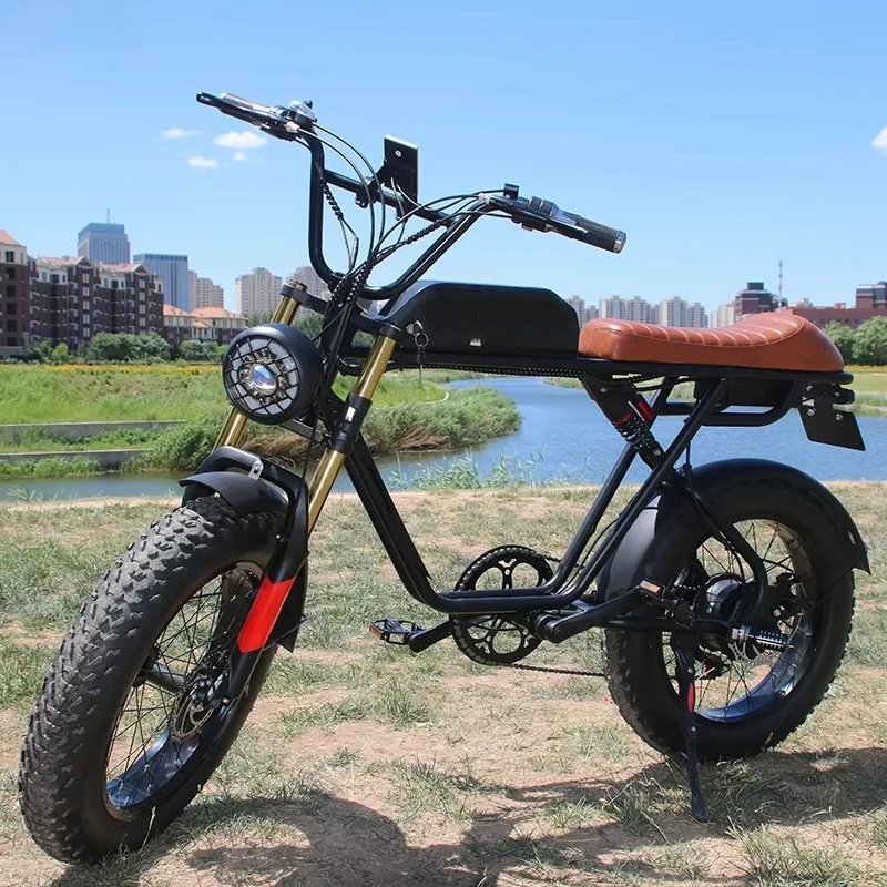 1500W Monkey Bike Electric Bike Powerful 20 Inch Fat Electric Bicycle Motor Aluminium Alloy Frame E-bike
1500W Monkey Bike Electric Bike Powerful 20 Inch Fat Electric Bicycle Motor Aluminium Alloy Frame E-bike