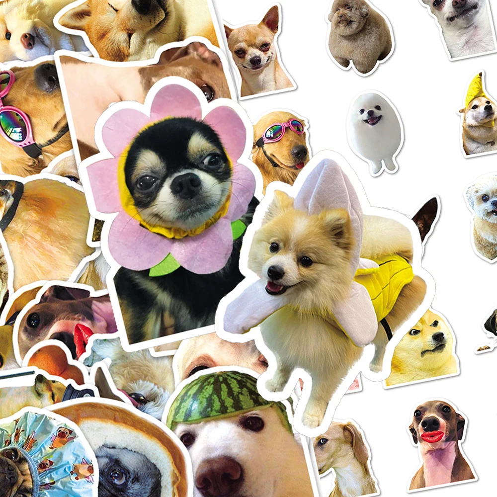 10/30/50pcs Funny Animals Dog Meme Stickers Cute Graffiti Sticker Waterproof DIY Luggage Notebook Phone Graffiti Decals Packing
10/30/50pcs Funny Animals Dog Meme Stickers Cute Graffiti Sticker Waterproof DIY Luggage Notebook Phone Graffiti Decals Packing