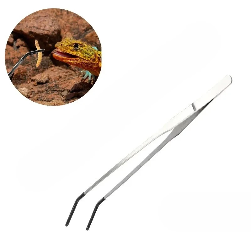 2pcs Bent Tip Tweezers For Crafts Stainless Steel Straight And Curved Nippers Tweezers Feeding Tongs For Reptile Lizards Spider
2pcs Bent Tip Tweezers For Crafts Stainless Steel Straight And Curved Nippers Tweezers Feeding Tongs For Reptile Lizards Spider