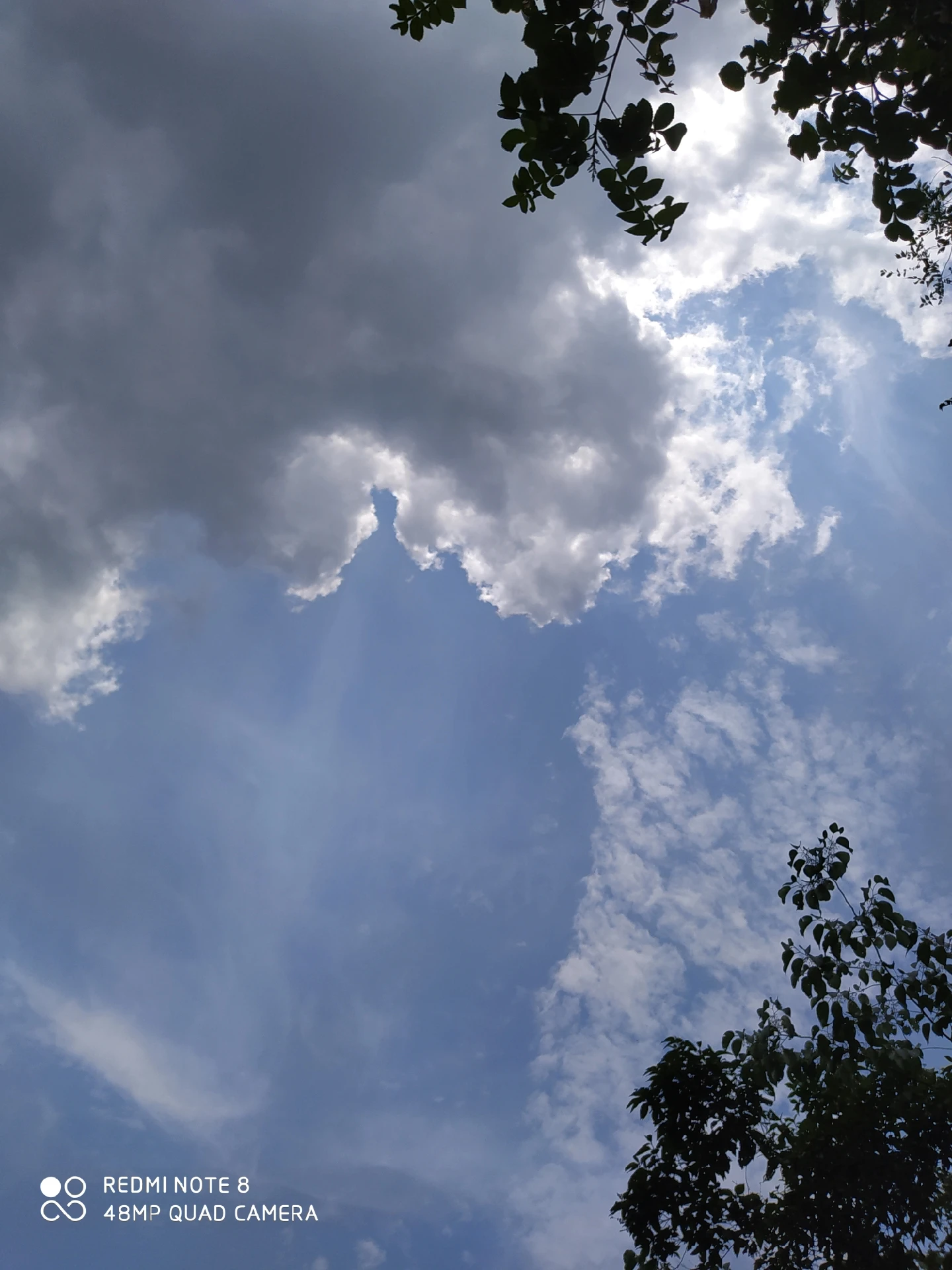 Middle Diameter20.5mm Lightweight Wheels Self-made Parts For Tamiya MINI 4WD Colored Wheel w/Aluminum Disc
Middle Diameter20.5mm Lightweight Wheels Self-made Parts For Tamiya MINI 4WD Colored Wheel w/Aluminum Disc