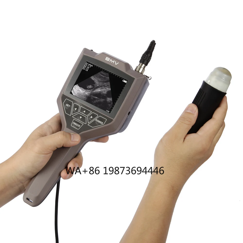 Handheld Veterinary Sow Sheep Testing Equipment Portable Veterinary Scanner
Handheld Veterinary Sow Sheep Testing Equipment Portable Veterinary Scanner