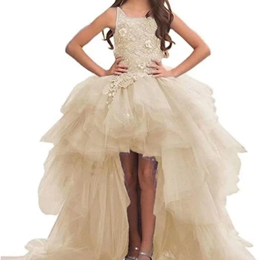 Flower Girl Dress Short Front And Long Back Style Celebration Children Girl Wedding Birthday Party First Communion Holiday Gown
Flower Girl Dress Short Front And Long Back Style Celebration Children Girl Wedding Birthday Party First Communion Holiday Gown