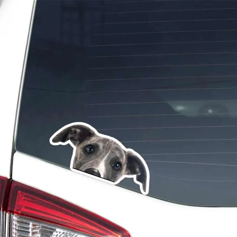 Peeking Whippet Car Decal Sticker Realistic Brindle White Trim Dog Head Vinyl Waterproof Outdoor Bumper Window Laptop Y193
Peeking Whippet Car Decal Sticker Realistic Brindle White Trim Dog Head Vinyl Waterproof Outdoor Bumper Window Laptop Y193