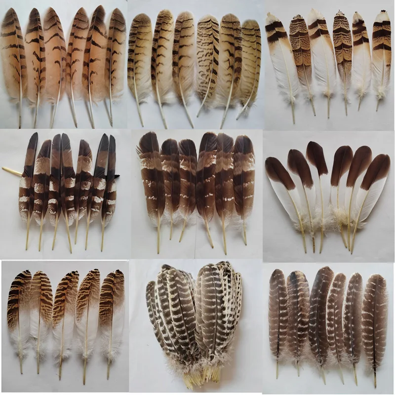 10Pcs/Lot Natural Eagle Feathers for Crafts Plume Headdress Accessories Holiday Decoration Carnival Feather DIY Handicraft Decor
10Pcs/Lot Natural Eagle Feathers for Crafts Plume Headdress Accessories Holiday Decoration Carnival Feather DIY Handicraft Decor