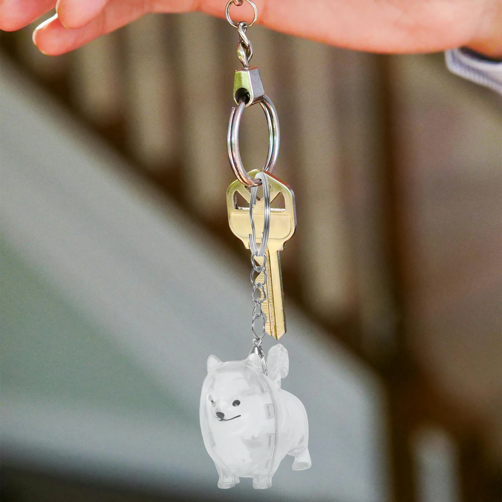 2 Pcs Pet Hair Souvenir Box Keepsake for Pets Keychain Dog Memorial Cats and Dogs
2 Pcs Pet Hair Souvenir Box Keepsake for Pets Keychain Dog Memorial Cats and Dogs