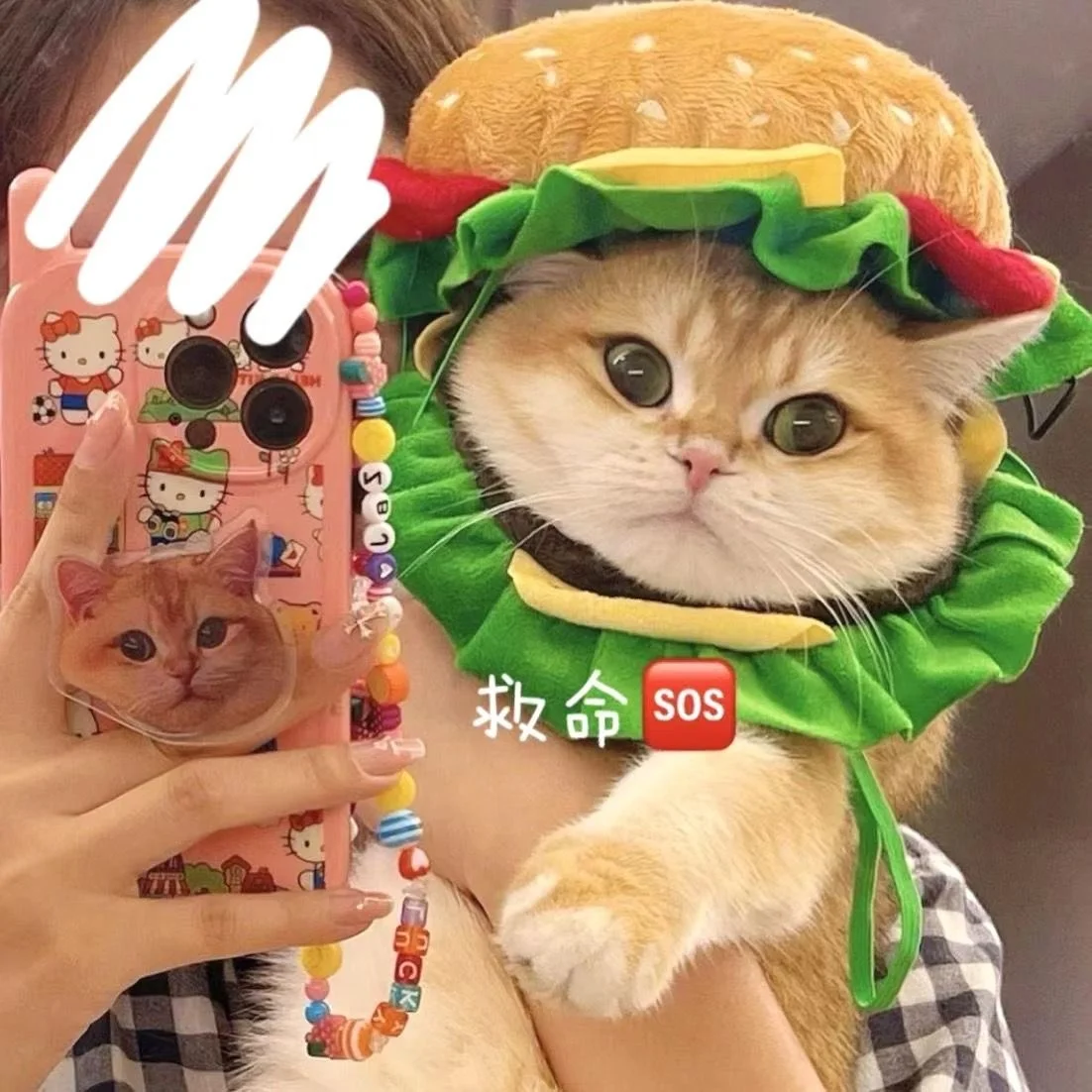 Hamburg Cat Head Cover Pet Hat Dog Funny Headwear Cute Photo Prop Small Medium Sized Puppy Clothing Halloween Hamburg Headwear
Hamburg Cat Head Cover Pet Hat Dog Funny Headwear Cute Photo Prop Small Medium Sized Puppy Clothing Halloween Hamburg Headwear